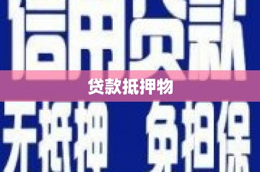 中站贷款抵押物