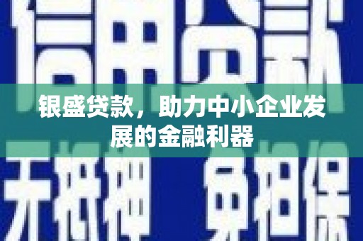 中站银盛贷款，助力中小企业发展的金融利器
