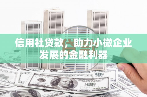 中站信用社贷款，助力小微企业发展的金融利器