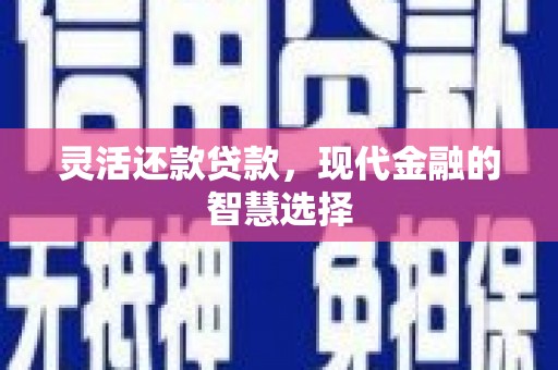 中站灵活还款贷款，现代金融的智慧选择