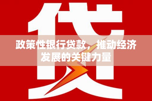 中站政策性银行贷款，推动经济发展的关键力量