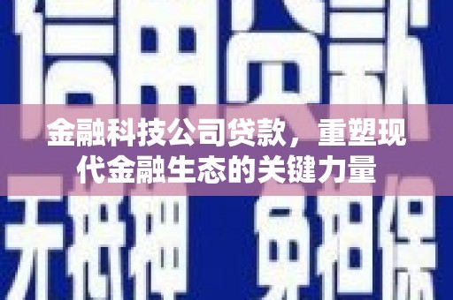 中站金融科技公司贷款，重塑现代金融生态的关键力量