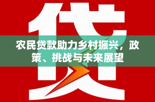 中站农民贷款助力乡村振兴，政策、挑战与未来展望