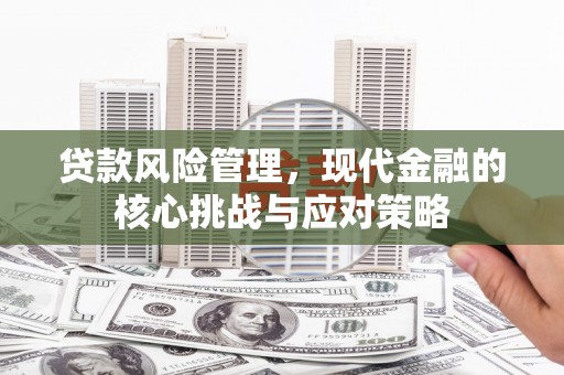 中站贷款风险管理，现代金融的核心挑战与应对策略