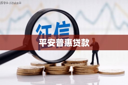 中站平安普惠贷款