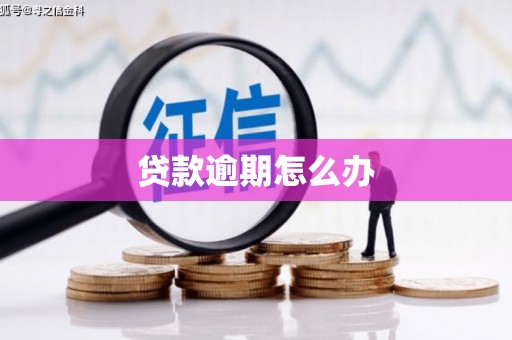 中站贷款逾期怎么办