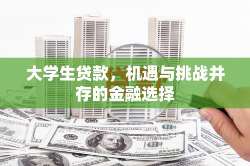中站大学生贷款，机遇与挑战并存的金融选择