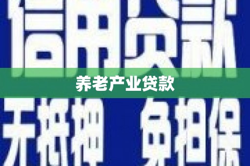 中站养老产业贷款