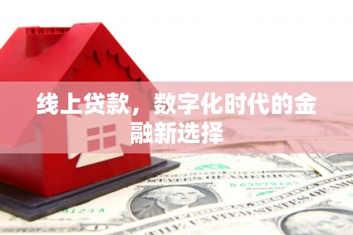 中站线上贷款，数字化时代的金融新选择