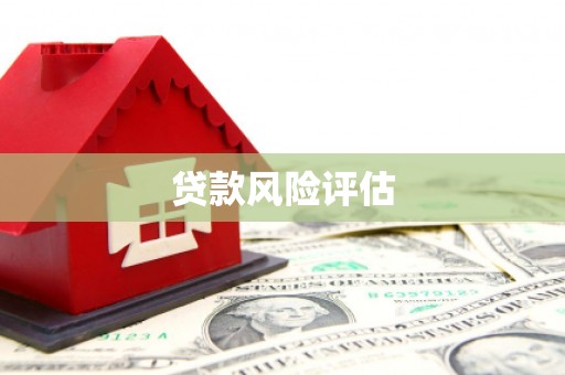 中站贷款风险评估