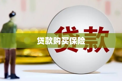 中站贷款购买保险