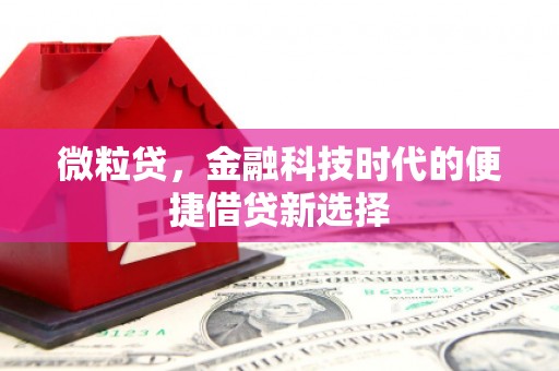 中站微粒贷，金融科技时代的便捷借贷新选择