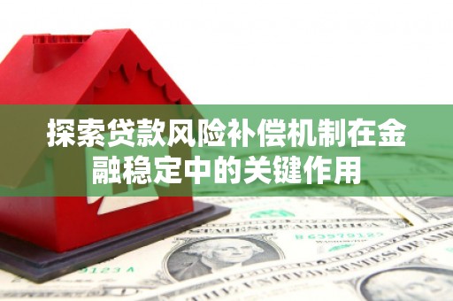 中站探索贷款风险补偿机制在金融稳定中的关键作用