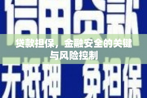 中站贷款担保，金融安全的关键与风险控制