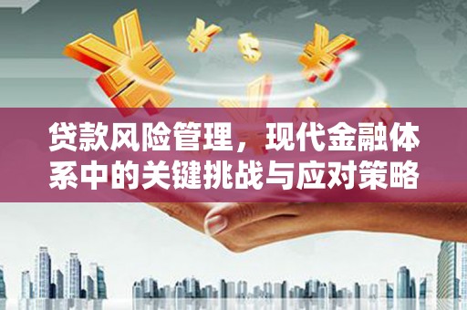 中站贷款风险管理，现代金融体系中的关键挑战与应对策略