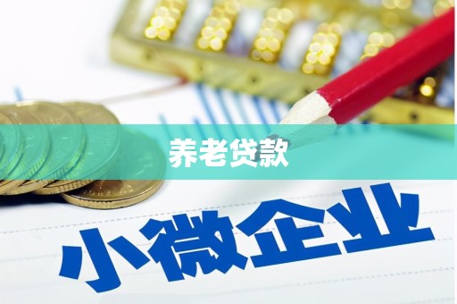 中站养老贷款