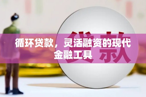 中站循环贷款，灵活融资的现代金融工具
