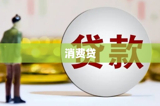 中站消费贷