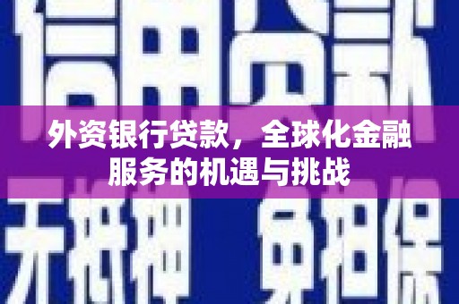 中站外资银行贷款，全球化金融服务的机遇与挑战