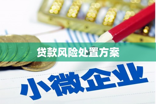 中站贷款风险处置方案