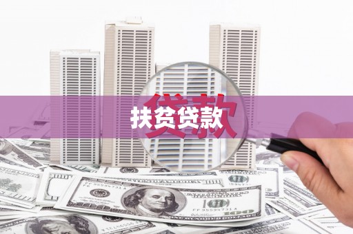 中站扶贫贷款