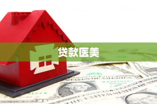 中站贷款医美
