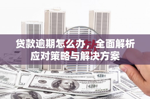 中站贷款逾期怎么办，全面解析应对策略与解决方案
