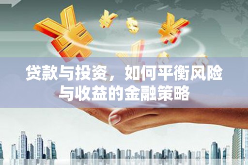 中站贷款与投资，如何平衡风险与收益的金融策略