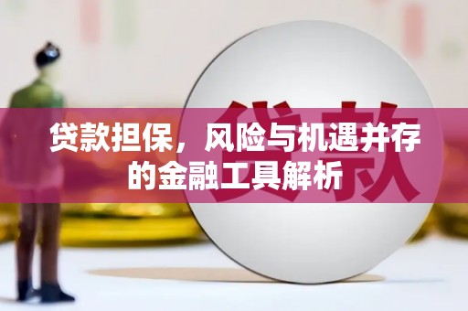 中站贷款担保，风险与机遇并存的金融工具解析