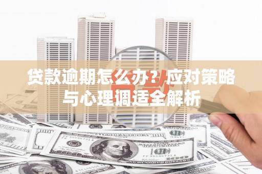 中站贷款逾期怎么办？应对策略与心理调适全解析