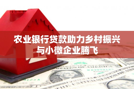 中站农业银行贷款助力乡村振兴与小微企业腾飞
