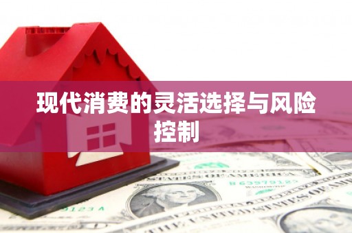中站现代消费的灵活选择与风险控制