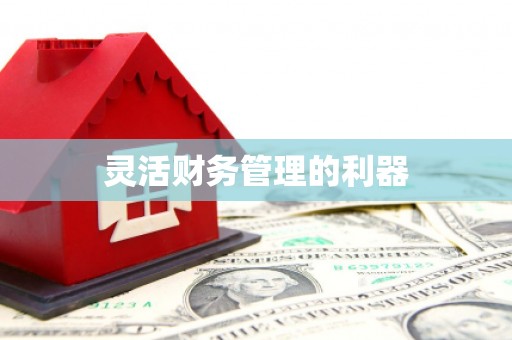 中站灵活财务管理的利器