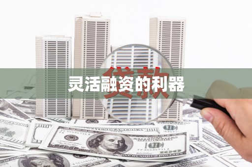 中站灵活融资的利器