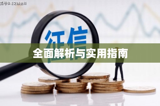 中站全面解析与实用指南
