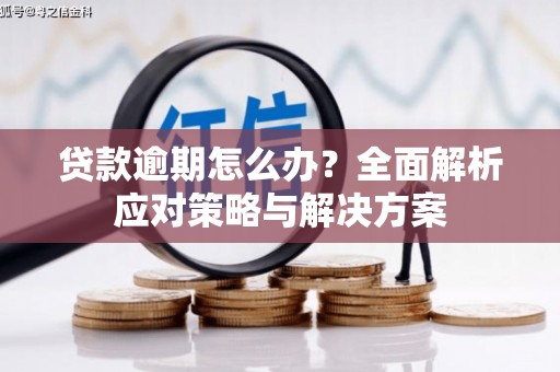 中站贷款逾期怎么办？全面解析应对策略与解决方案