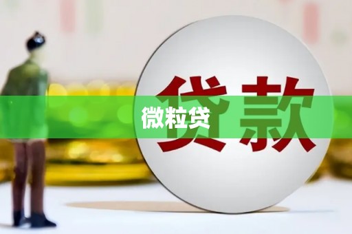 中站微粒贷