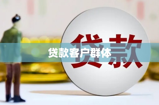 中站贷款客户群体