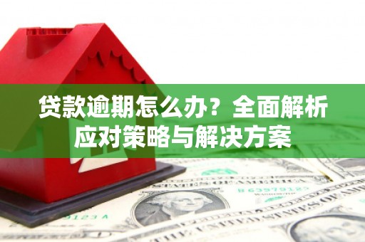 中站贷款逾期怎么办？全面解析应对策略与解决方案