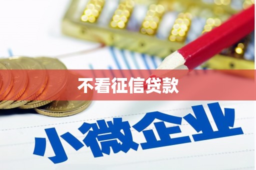 中站不看征信贷款