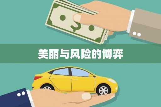 中站美丽与风险的博弈