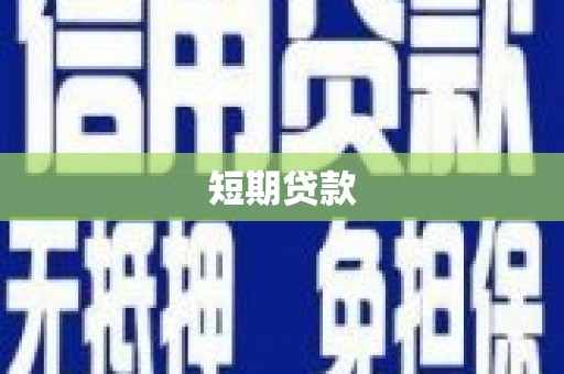 中站短期贷款