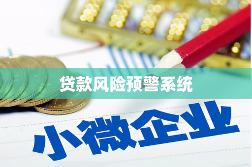 中站贷款风险预警系统